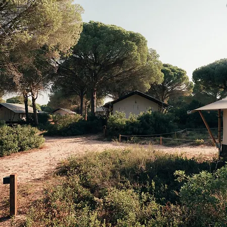 wecamp Cádiz-3